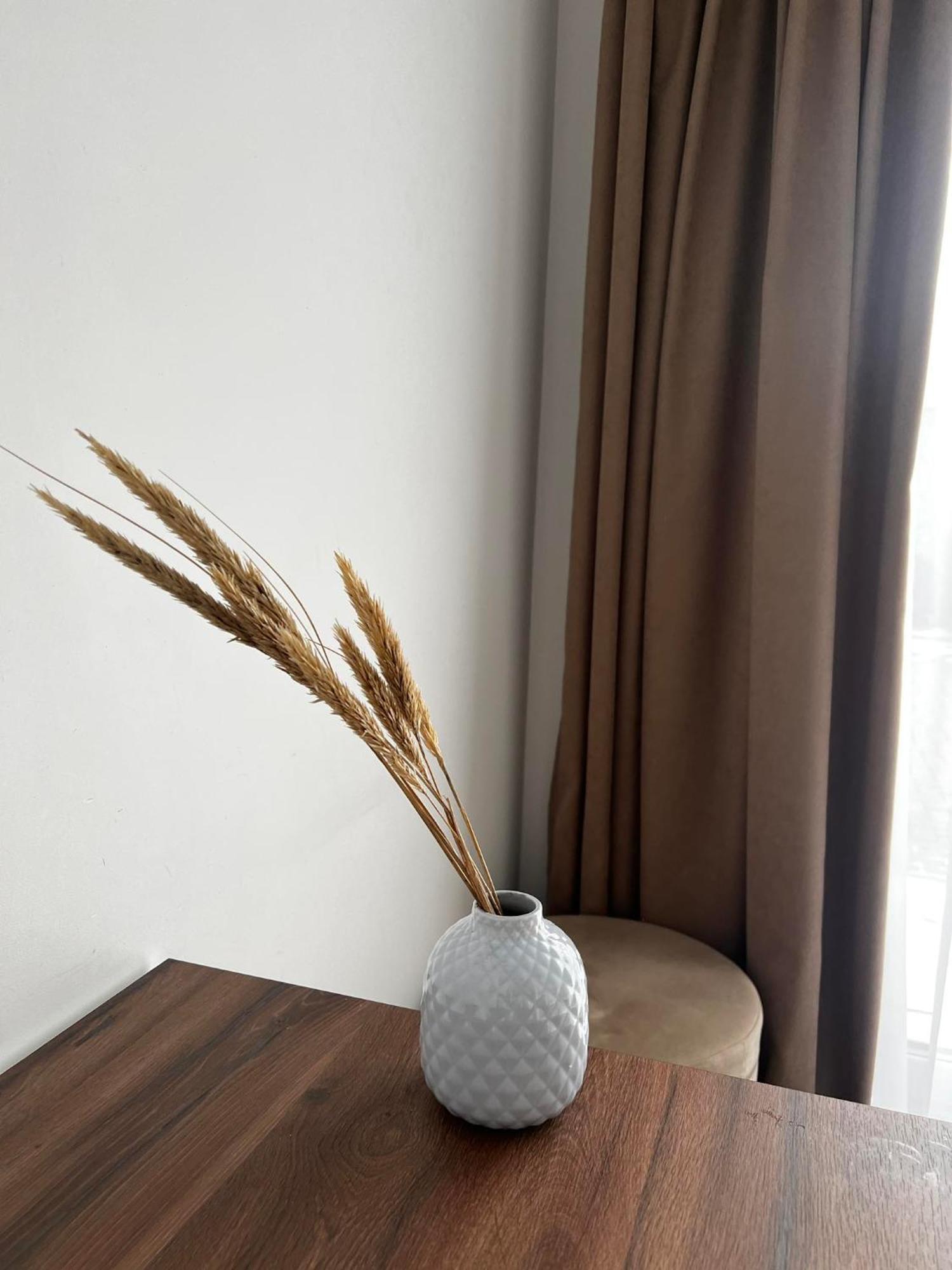 פלאנגה Izabeles Apartamentai מראה חיצוני תמונה